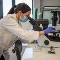 Laboratorija